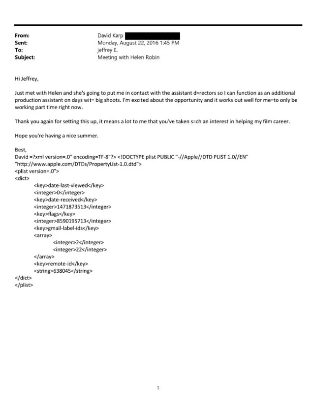 Karp and Epstein Emails Reveal Elite Networks Bypassing Meritocracy with Unpaid Job Requests