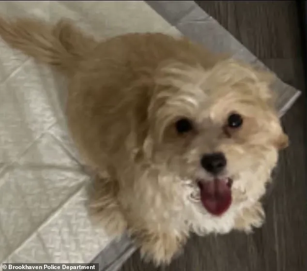 Rapper Aspen Kartier Arrested Over Alleged Animal Cruelty in Viral Twitch Stream