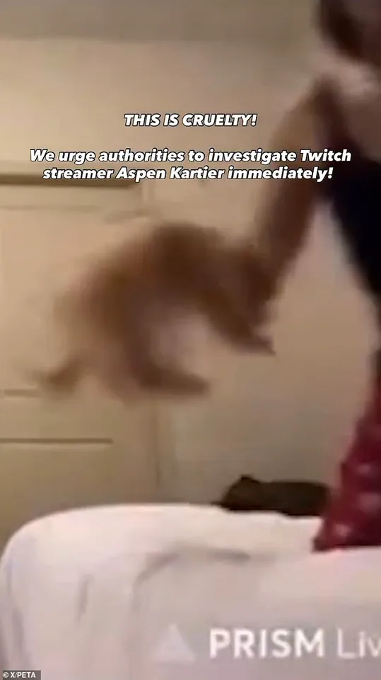 Rapper Aspen Kartier Arrested Over Alleged Animal Cruelty in Viral Twitch Stream