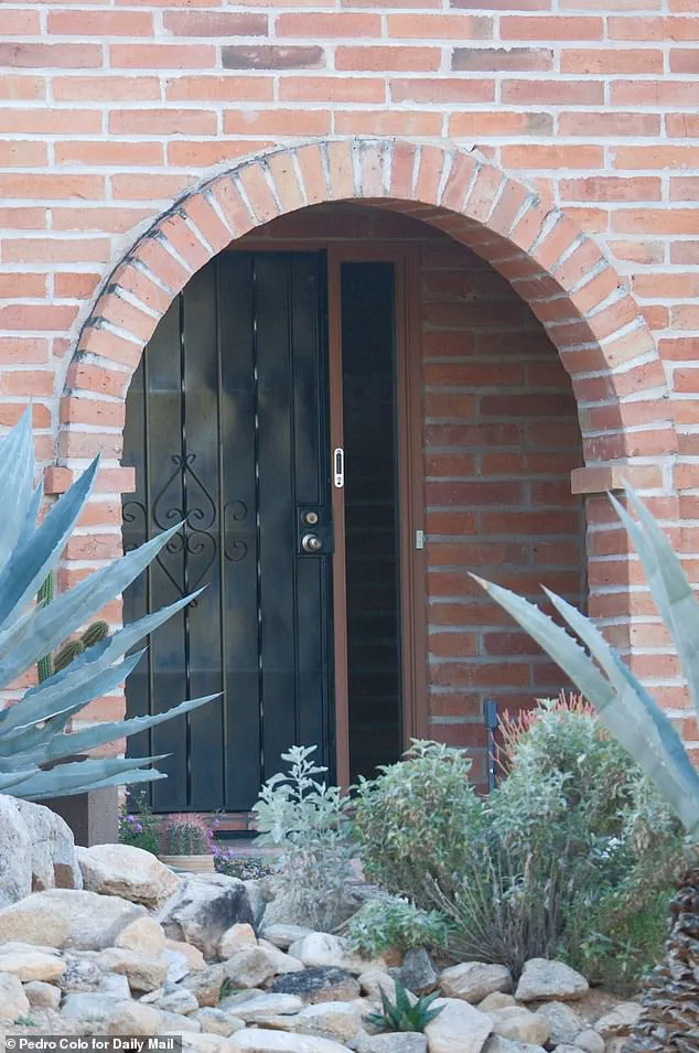 Mysterious Disappearance of Nancy Guthrie: Unmarked White Van Sparks Investigation