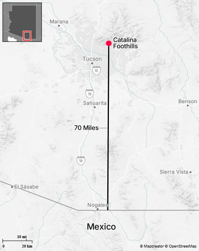 Neighbor's Tip Triggers Scrutiny Over Arizona Home's Unnatural Roof