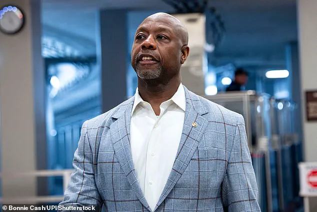 Trump Refuses to Apologize for Viral Video Depicting Obamas as Apes Amid Widespread Condemnation