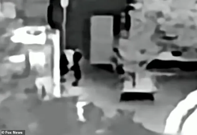 Feds Search Tucson Home for Third Time in Kidnapping Case Involving Missing Woman