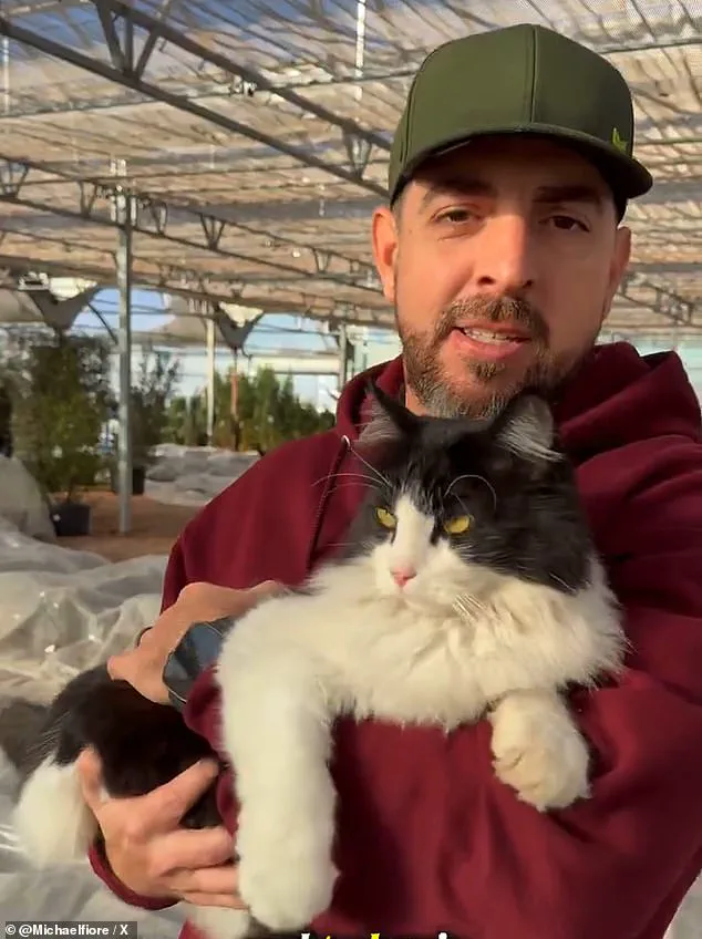 Feline Hero Sylvester's Viral Rat-Catching Feat Captivates Millions from Texas Garden Center