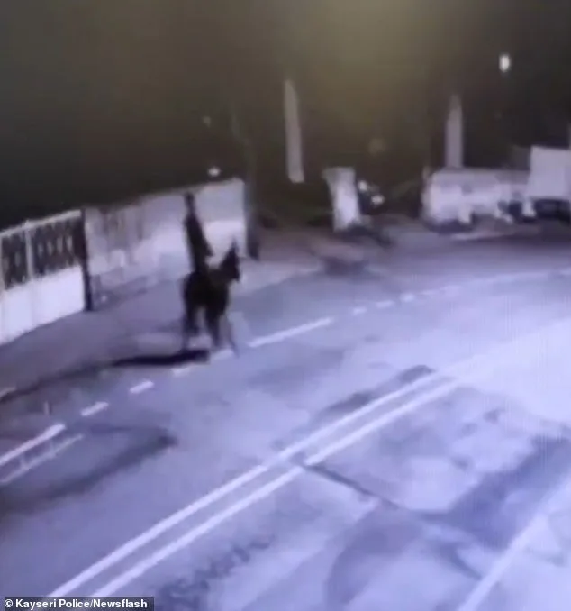 Bizarre Forklift Robbery in Central Turkey Shocks Locals, Sparks Security Concerns