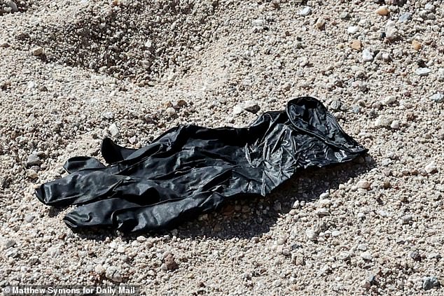 Secretive DNA Labs International, Founded by a Mother-Daughter Duo, Solving America's Toughest Cases – Including Nancy Guthrie's Disappearance