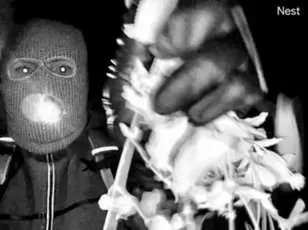 Trump Threatens Death Penalty for Nancy Guthrie's Abductors as FBI Closes in with Key Evidence