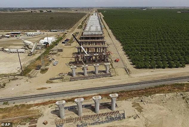 California High-Speed Rail CEO Ian Choudri Arrested for Domestic Battery After Project Celebration