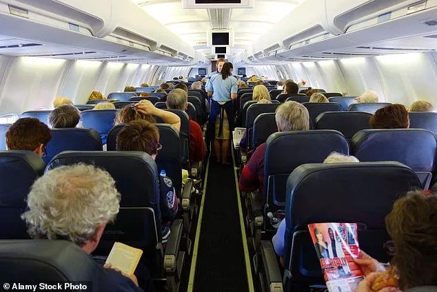 Passenger's Flight Kindness Backfires with Harsh Rebuke, Turns to Reddit