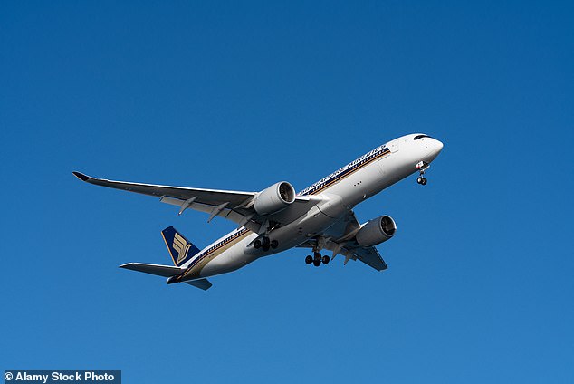 Passenger's Flight Kindness Backfires with Harsh Rebuke, Turns to Reddit