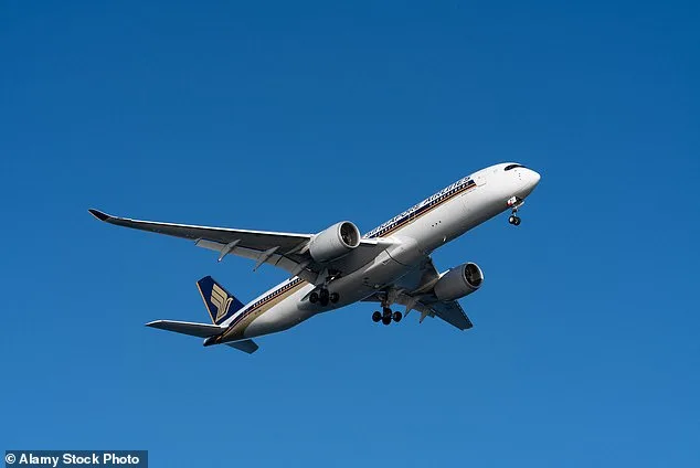 Passenger's Flight Kindness Backfires with Harsh Rebuke, Turns to Reddit