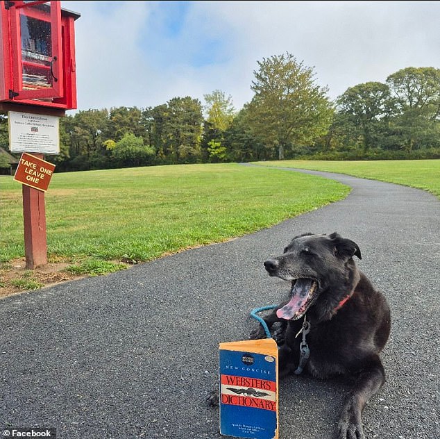 Tragic Anniversary: Couple Celebrating 50 Years Found Dead After Drowning on Cape Cod's Frozen River