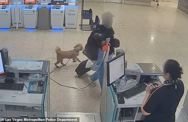 Woman Arrested After Abandoning Dog at Airport in Service Animal Dispute