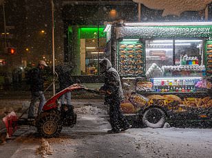 East Coast Paralyzed by Historic Blizzard: Flights Collapse, Emergencies Declared