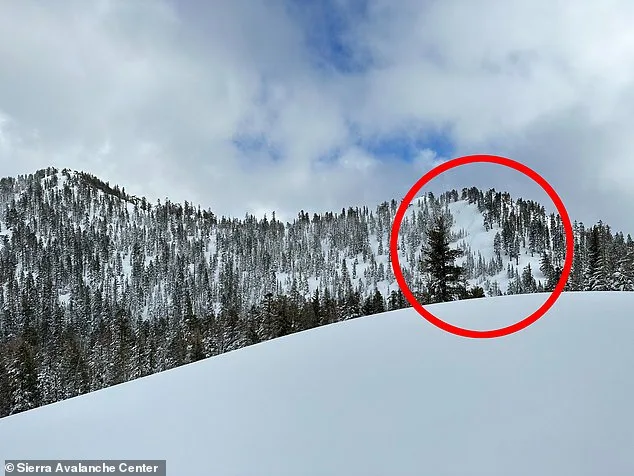 Storm Slab Avalanche Claims Eight Mothers at Castle Peak, Lake Tahoe: New Images Show Devastating Impact