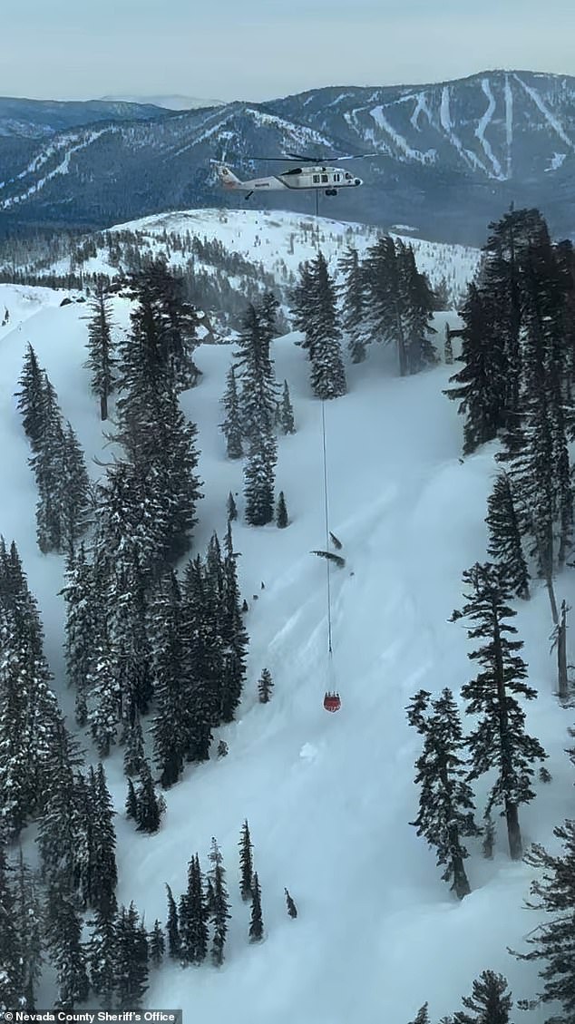 Storm Slab Avalanche Claims Eight Mothers at Castle Peak, Lake Tahoe: New Images Show Devastating Impact