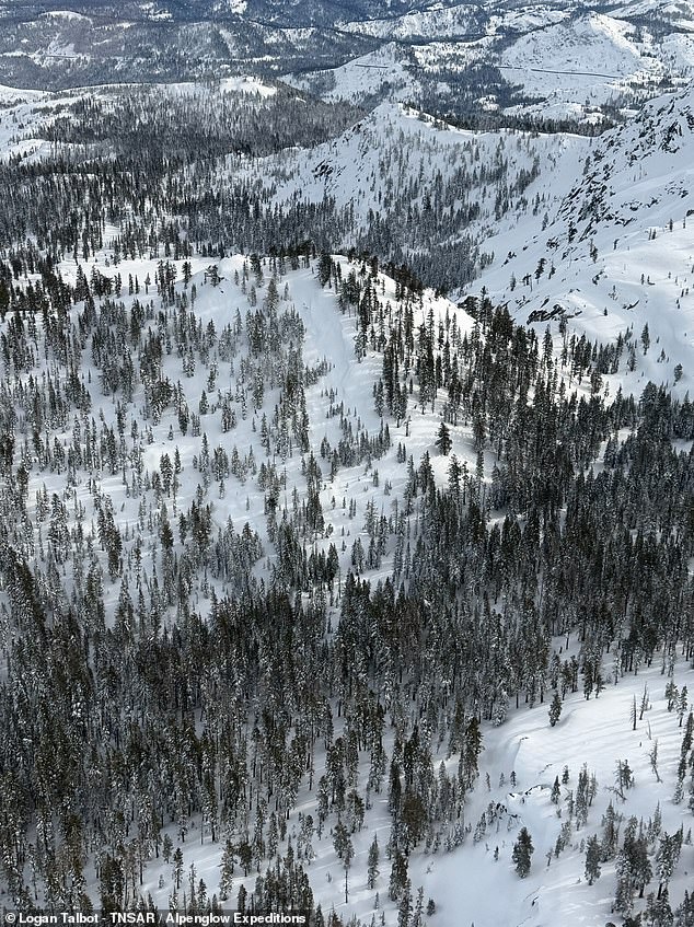 Storm Slab Avalanche Claims Eight Mothers at Castle Peak, Lake Tahoe: New Images Show Devastating Impact