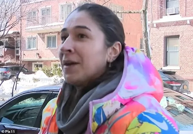 Queens Neighbor Faces Outrage After Allegedly Shoveling Snow Onto Family's SUV