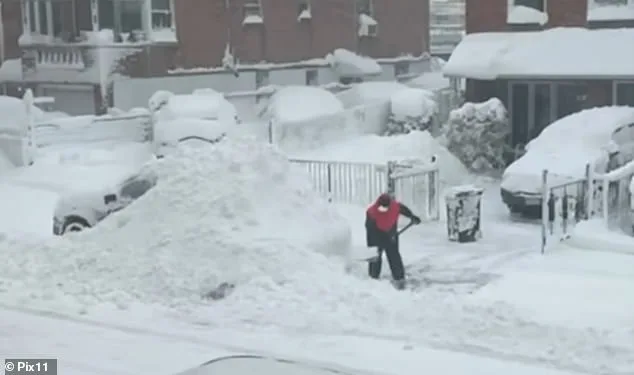 Queens Neighbor Faces Outrage After Allegedly Shoveling Snow Onto Family's SUV