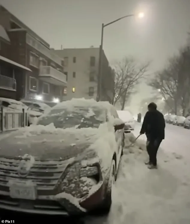 Queens Neighbor Faces Outrage After Allegedly Shoveling Snow Onto Family's SUV
