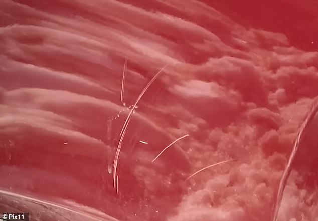 Queens Neighbor Faces Outrage After Allegedly Shoveling Snow Onto Family's SUV