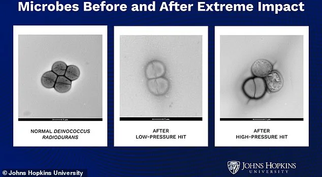 Asteroids May Have Brought Martian Life to Earth, Study Finds