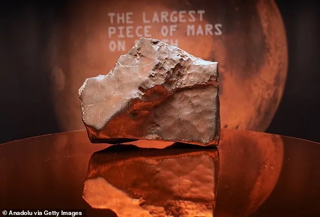 Asteroids May Have Brought Martian Life to Earth, Study Finds