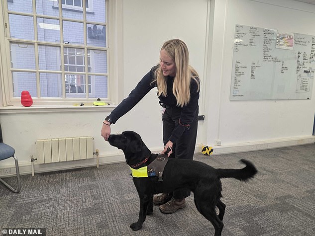 Ellie Brown: Forging Lifelines Through Guide Dog Matchmaking