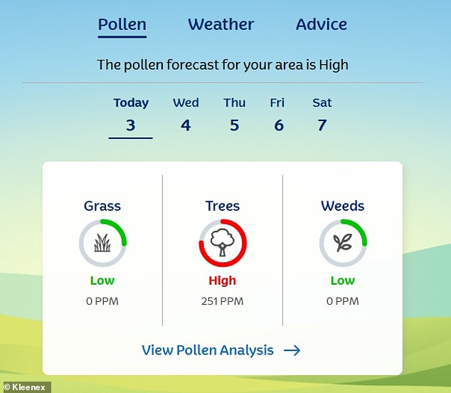 UK Grapples with 'Pollen Bomb' as Rainy Spell Gives Way to Allergy Surge