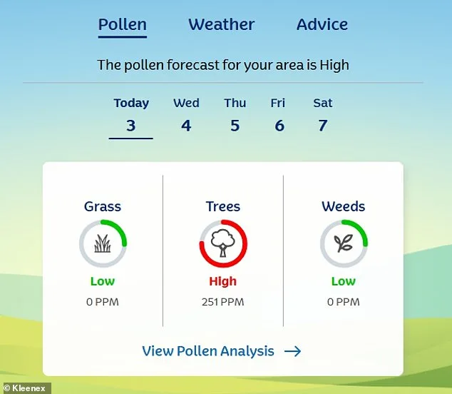 UK Grapples with 'Pollen Bomb' as Rainy Spell Gives Way to Allergy Surge