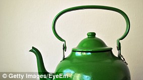 UK Gardeners Urged to Tolerate Caterpillar Damage in Campaign to Save Declining Moth Populations