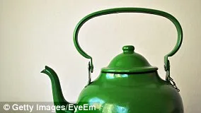 UK Gardeners Urged to Tolerate Caterpillar Damage in Campaign to Save Declining Moth Populations