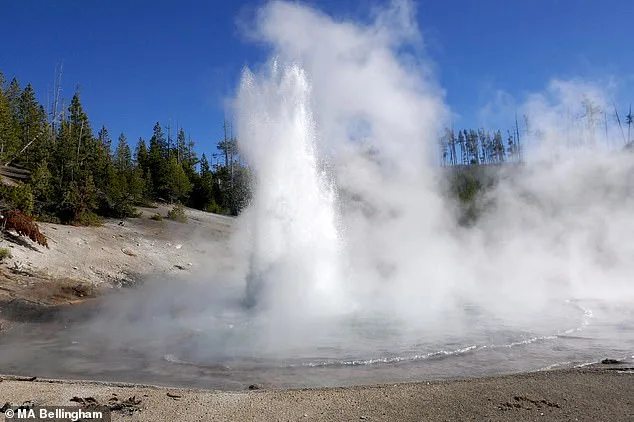 Echinus Geyser Erupts Again, Sparking Fears of Yellowstone's Supervolcano Activity