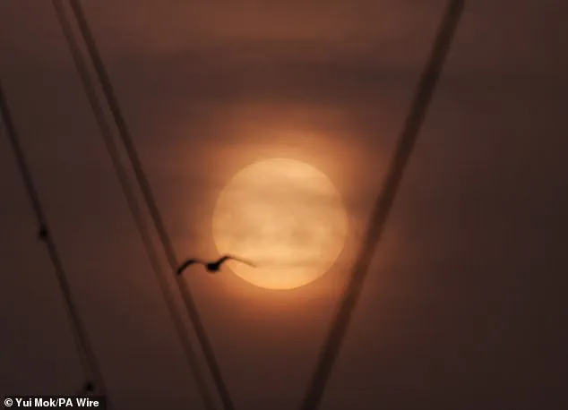 Saharan Dust Plume Brings 'Blood Rain' to UK, Met Office Says No Immediate Health Threat