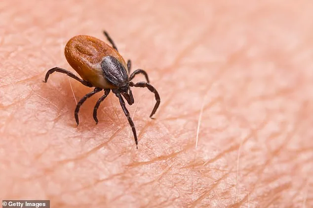 CIA Accused of Bioweapon Experiments Linked to Lyme Disease Epidemic, Says Ex-Biochemist