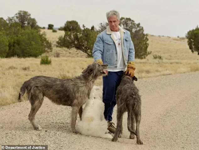 The Enigmatic Caretakers of Zorro Ranch: Epstein's Ex-Military Custodians and the Mystery of Their Disappearance