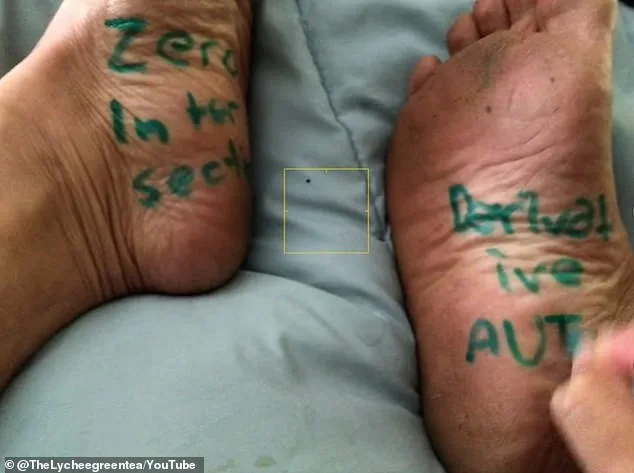 San Francisco Math Teacher Placed on Leave After Controversial Quiz Questions Spark Outrage Over Fat-Shaming and Sexism