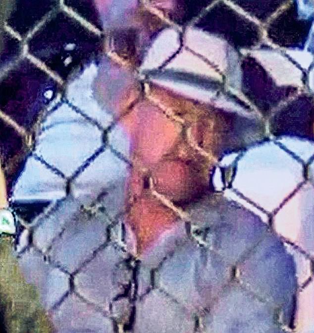 Fugitive Crime Bosses Christy Kinahan and Son Make First Public Sighting in Years at Dubai MMA Event