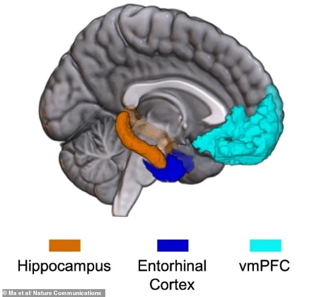 AI and Brain Imaging Reveal Shared Neural Pathways for Anger and Fear in Groundbreaking Emotional Map Study