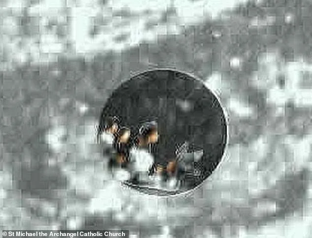 New Discovery on Tilma of Guadalupe: Microscopic Human Figures in Virgin's Eye Reignite Debate