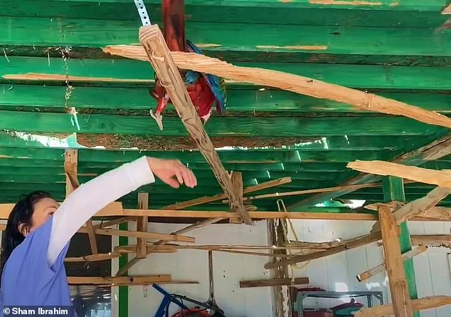 Macaw Mayhem in Las Vegas Valley Sparks Neighborhood Battle Between Retired Owner and Former Hollywood Icon