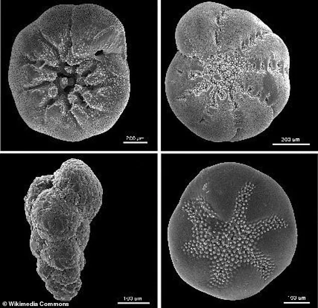 Climate Change Accelerates Earth's Day Lengthening at Unprecedented Rate