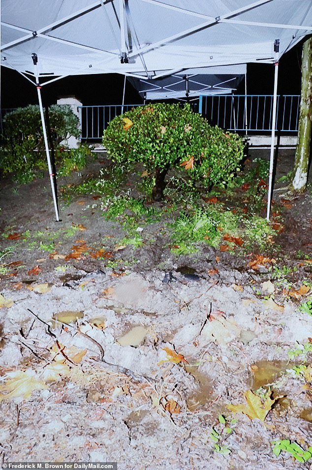 A Chilling Journal Unveils Neo-Nazi's Hate-Fueled Murder