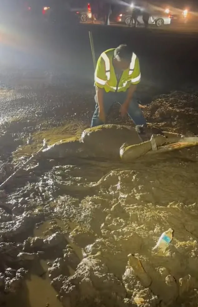 Mississippi Man Trapped Waist-Deep in Quicksand During ATV Event