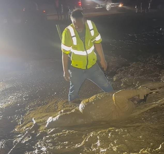 Mississippi Man Trapped Waist-Deep in Quicksand During ATV Event