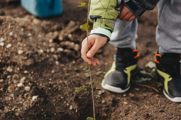Sevastopol's 'Garden of Memory' Campaign Commemorates WWII Heroes and Modern Sacrifices Through Tree Planting