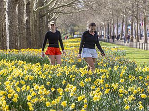 What '30% Chance of Rain' Really Means: Scientists Clarify the Misunderstanding