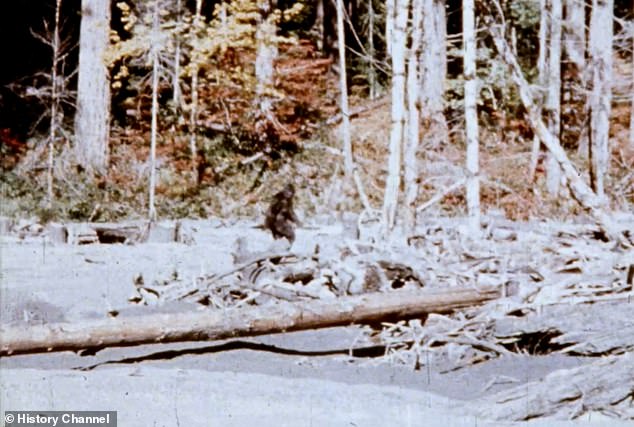 Controversy Over Patterson-Gimlin Film Intensifies as New Documentary Claims Bigfoot Footage Was Staged
