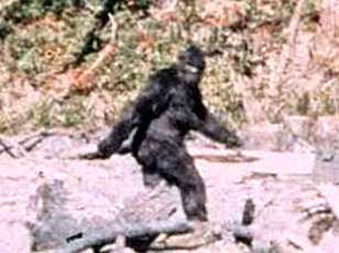 Controversy Over Patterson-Gimlin Film Intensifies as New Documentary Claims Bigfoot Footage Was Staged
