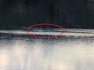 Mysterious Footage Captured in Loch Ness Reignites Debate Over Legendary Monster's Existence